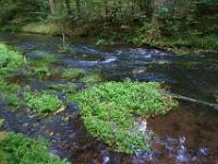 Herz mitten im Bachlauf der Oberen Püttlach